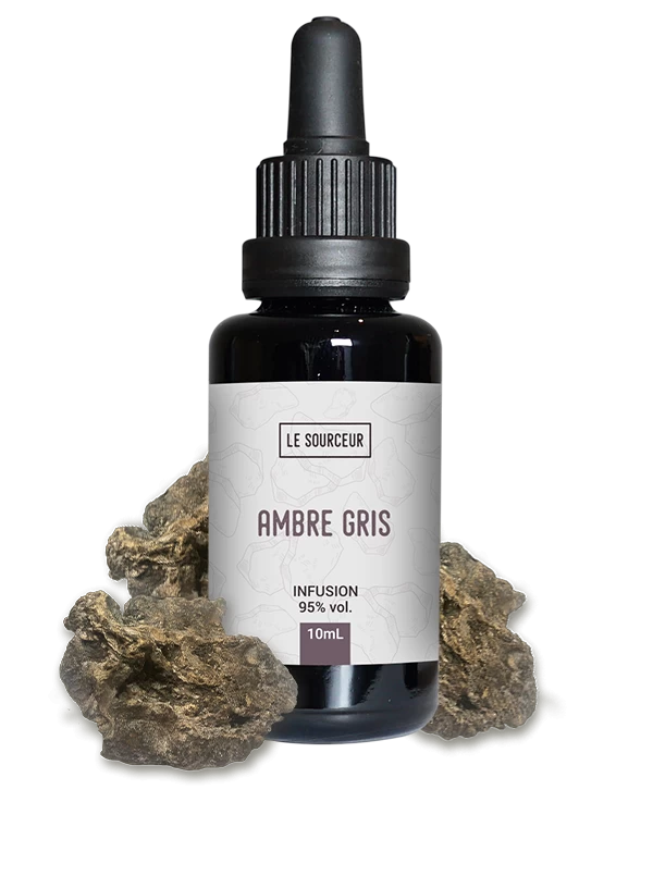 Ambre Gris + Matière