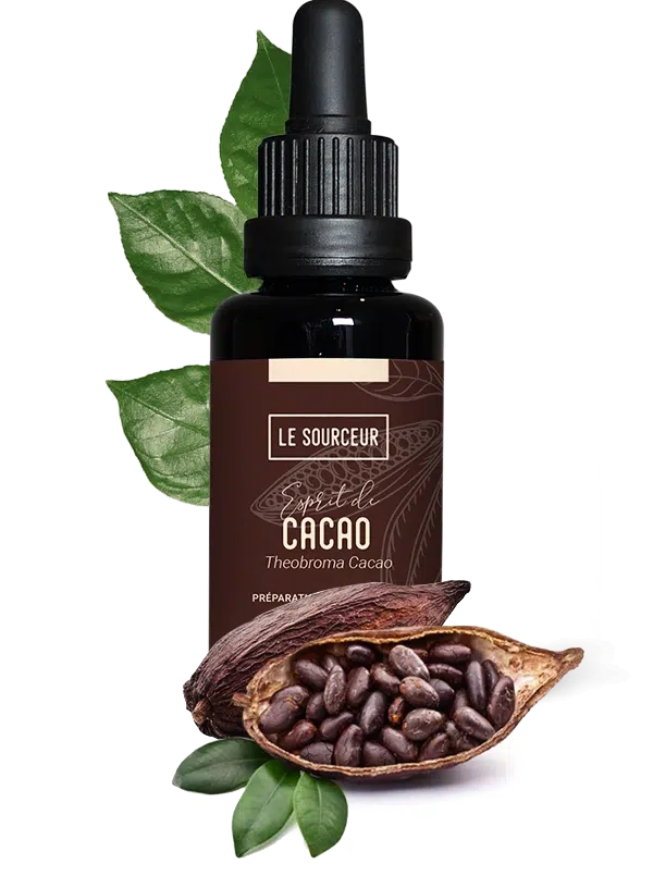 cacao.png