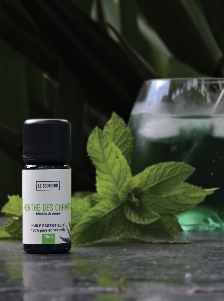 menthe-deschamps-lesourceur-huileessentielle