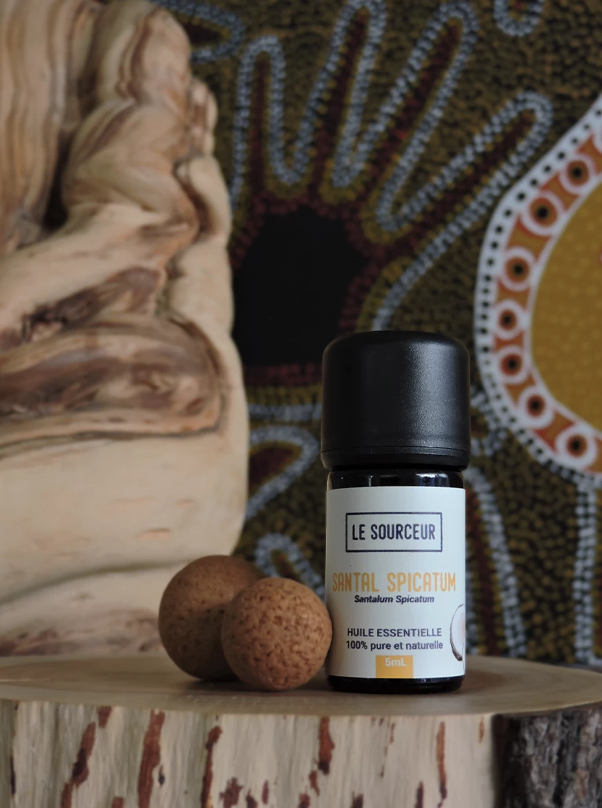 santal-spicatum-lesourceur-huileessentielle