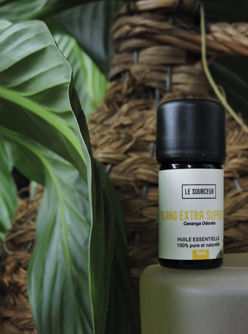 ylang-ylang-lesourceur-huileessentielle