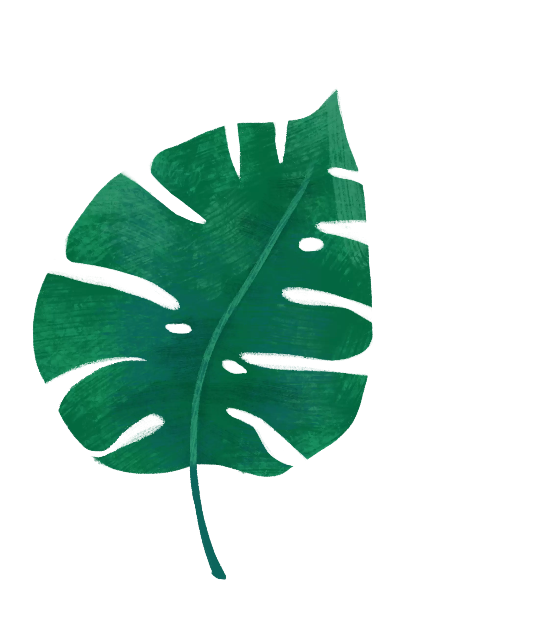 —Pngtree—a tropical leaf png free_4425442 1