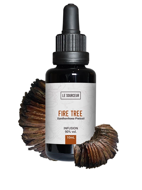 infusion-fire-tree-lesourceur